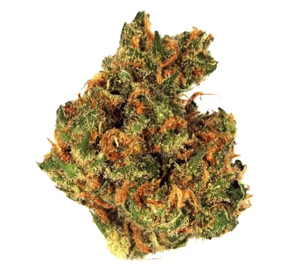 Island Sweet Skunk